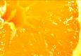 Top Healthy Foods Video